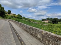 Saint Émilion desde Grand Bigaroux