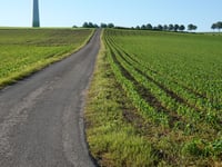 Waldkierfecht from Rimmelsfuert