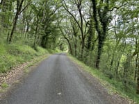 Route de la Pagesie da Montignac