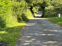 Arger Fen z Assington