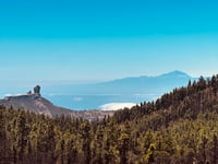 Pico de las Nieves from Ingenio