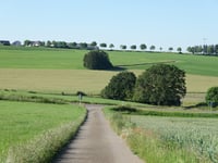Groussendréisch von Grindhausen