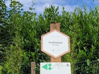 Col du Rosier