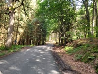Col du Rosier