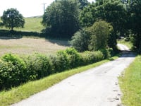 Grindhausen von Irbich