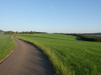 Waldbierg