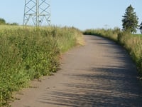 Waldbierg