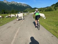 Col de Marie-Blanque von Bielle