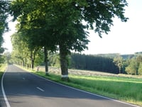 Marbourg da Dasburg