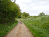 Côte de Breux