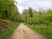 Côte de Breux