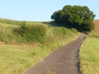 Schwaarzenhiwel über Waldbierg