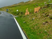 Passo di Gavia from Bormio