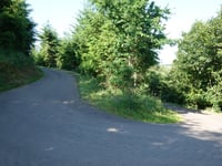 Léilerpad from Jansschleederbaach