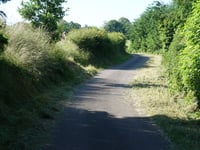 Léilerpad from Jansschleederbaach
