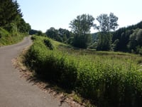 Scheedwee da Laangbaach