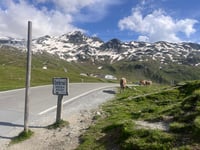 Umbrailpass from Bormio