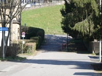 Fackensief über Rumpenstrasse