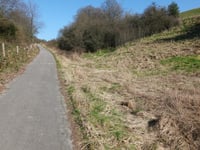 Fackensief über Rumpenstrasse