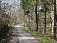 Sillebend von Zweifall