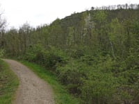 Bergehalde Grube Adolf from Plitschard