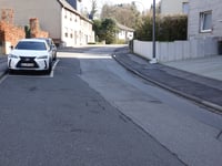 Dicke Hecke von Vicht