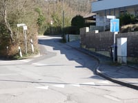 Dicke Hecke von Vicht