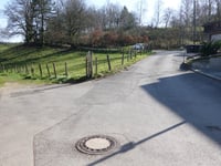 Dicke Hecke von Vicht