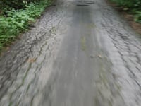 Horná skala von Badín
