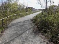 Bergehalde Carl-Alexander via Zum Bergfoyer