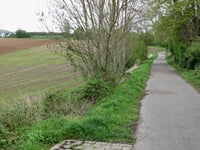 Marie-Juchacz-Strasse über Thiergartenstrasse