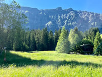 Altiport Megève von Megève