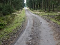 Pannensterzkopf da Küchelscheid via Ruitzhof