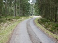Raalkopf von Spohrbach
