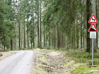 Raalkopf von Spohrbach