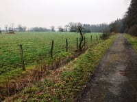 Schwerzfeld da Steinbach