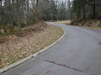 Auetshecke von Steinbach