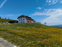 Belchen von Münstertal