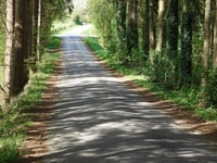 Route de Sarpay da Arbespine