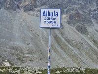 Albulapas vanuit Punt