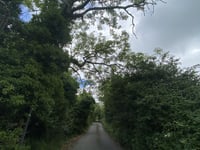 Bushcombe Lane desde Woodmancote