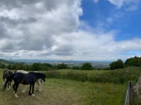 Bushcombe Lane desde Woodmancote