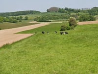 Rébierg da Kahler