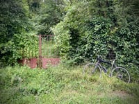 Les Chanois von Saint Aulde