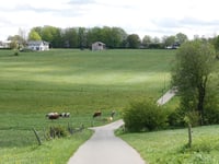 Breufeldstrasse von Tiefental