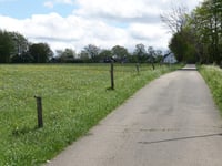 Strauch über Breufeldstrasse