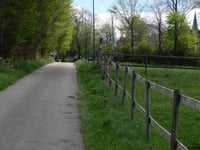 Strauch über Breufeldstrasse