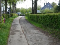Strauch über Breufeldstrasse