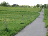 Strauch von Tiefental