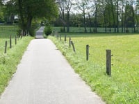 Strauch von Tiefental